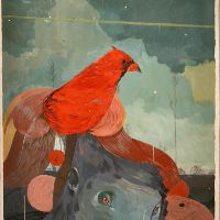 andrew_hem_cardinal.jpg