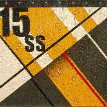 dsm_6194