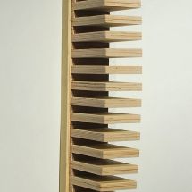 dsm_6289