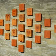 dsm_6293