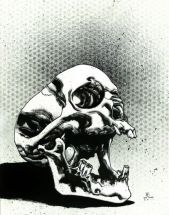 light-headed