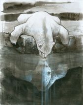 wet_mirror
