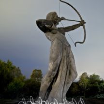 skinner