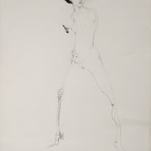 dsm_7539