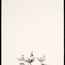 2-johnson_waiting