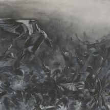 4-steve-johnson_ducks