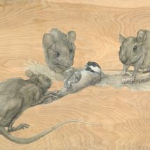 bird-and-rodents