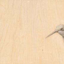 bird-triptic_bottom