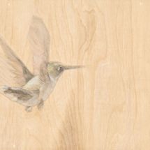 bird-triptic_middle