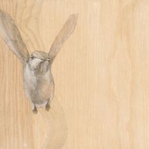 bird-triptic_top