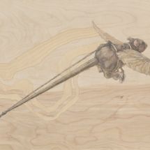 flying-rat
