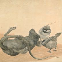 mouse-and-birds