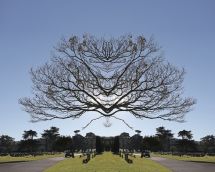 24x30_colma_4