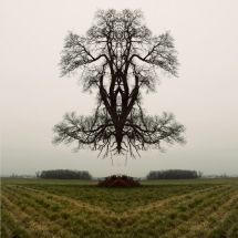 22_mirror